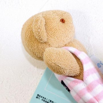トラセリア　キュキュベア画像