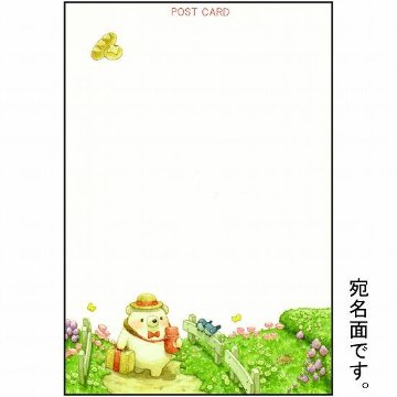 ちっぷ ポストカード（木漏れ日）画像