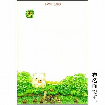 ちっぷ ポストカード（森の小道）画像