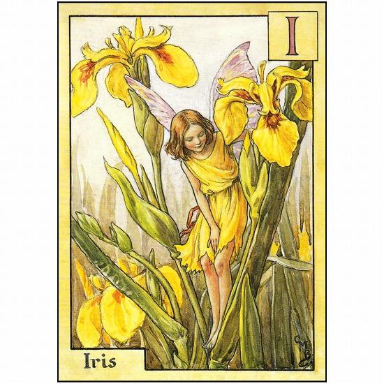 花の妖精ポストカード（アイリス）画像