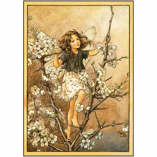 花の妖精ポストカード（リンボクの木）画像