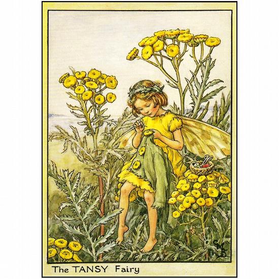 花の妖精ポストカード（タンジー）画像