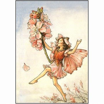 花の妖精ポストカード（アーモンドの花）画像