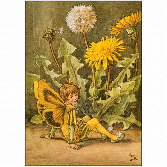 花の妖精ポストカード（タンポポ）画像