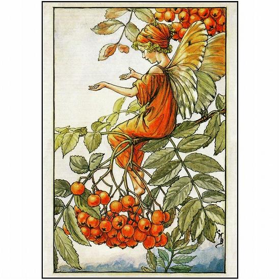 花の妖精ポストカード（ななかまどの木）画像