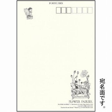 花の妖精ポストカード（百日草）画像