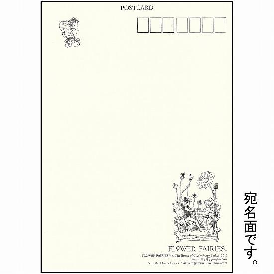 花の妖精ポストカード（ラグドロビン）画像