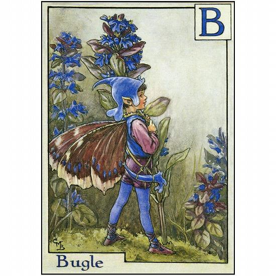 花の妖精ポストカード（ビューグル）画像