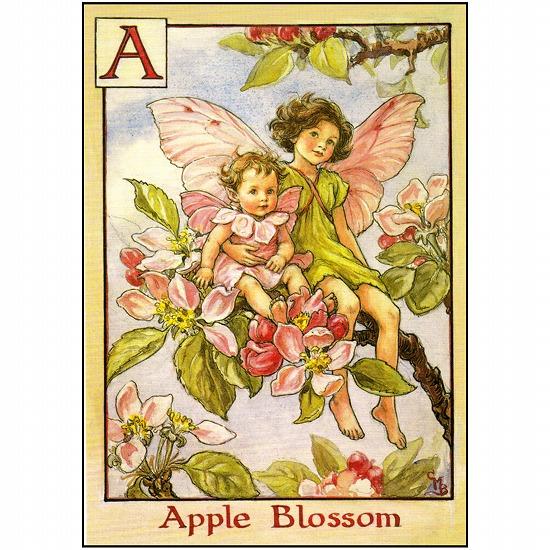 花の妖精ポストカード（リンゴの花）画像