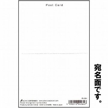 落合恵美 フラワーポストカード PE-272画像