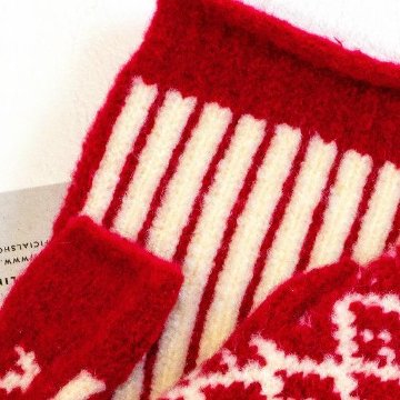 テスタバ　フィンガーレスグローブ（キカレッド）の画像