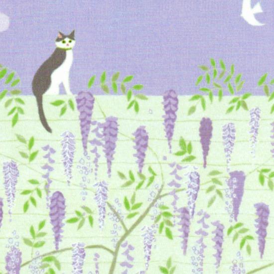ひらいみも ポストカード（藤の花：塀）の画像