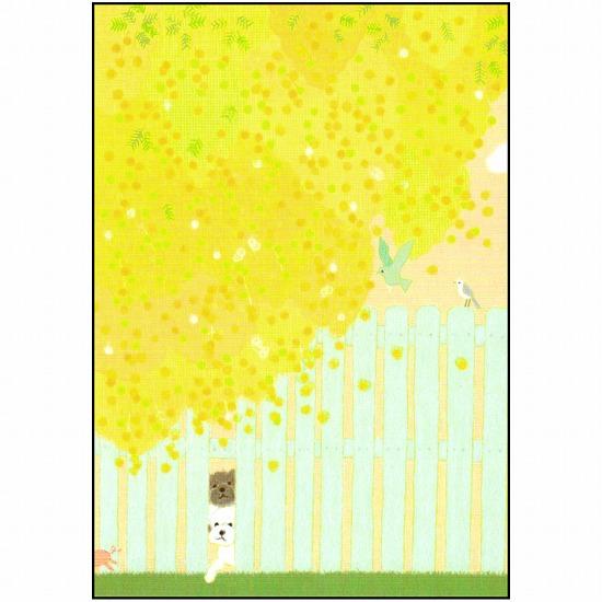 ひらいみも ポストカード（ミモザ：子ブタと塀）の画像