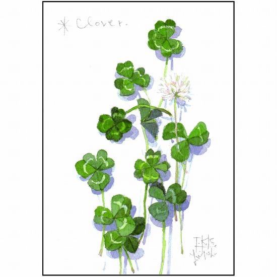 三好貴子 ポストカード（クローバー）の画像