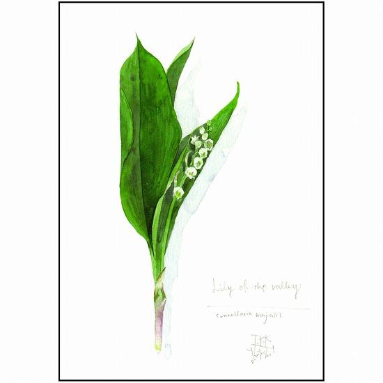 三好貴子 ポストカード（リリーオブザバレー）の画像