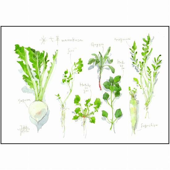 三好貴子 ポストカード（七草nanakusa）の画像