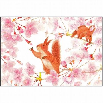 桜ポストカード（リスと桜）画像