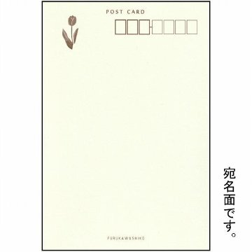 古川紙工　ポストカード（チューリップ）画像