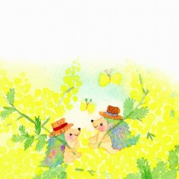 Roko ポストカード（ミモザ行進曲）の画像