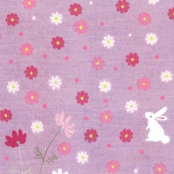 ひらいみも ポストカード（兎とコスモス）の画像