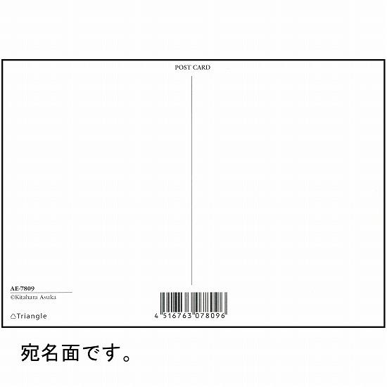 北原明日香 ポストカード（雪のアイススケート）の画像