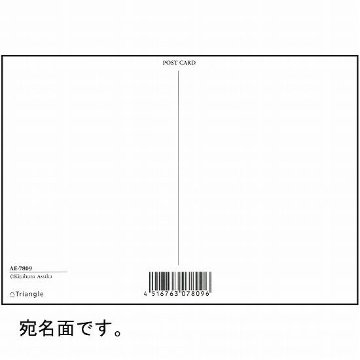 北原明日香 ポストカード（雪のアイススケート）の画像