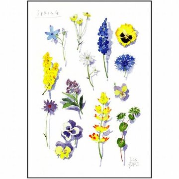 三好貴子 ポストカード（春の花たち）画像