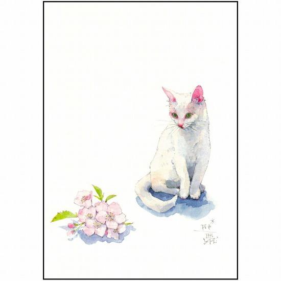 三好貴子 ポストカード（桜色）の画像