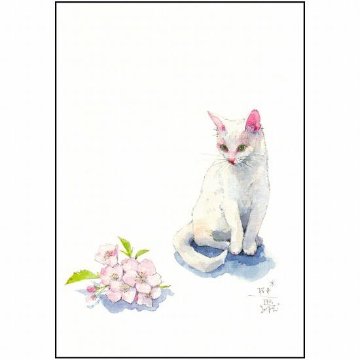 三好貴子 ポストカード（桜色）の画像