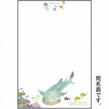 Roko ポストカード（ジンベイザメ）画像