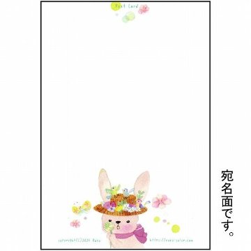 Roko ポストカード（ふぅーっと）の画像