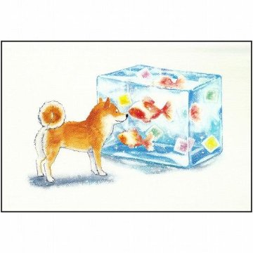 村田なつか ポストカード（しばいぬと金魚菓子）の画像
