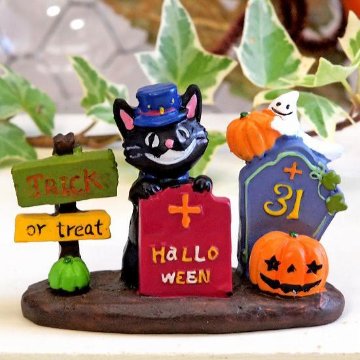 ハロウィン　ダニエルキャットの画像