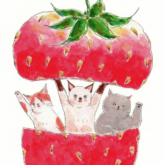 トコロコムギ ポストカード（いちごの中からごあいさつ）の画像
