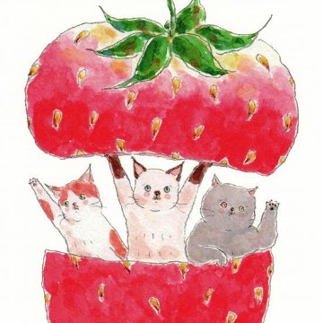 トコロコムギ ポストカード（いちごの中からごあいさつ）の画像