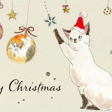 トコロコムギ ポストカード（いたずらクリスマスにゃんこ）の画像