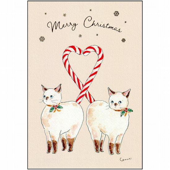 トコロコムギ ポストカード（クリスマスキャンディにゃんこ）の画像