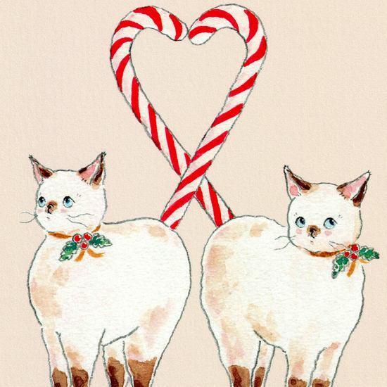 トコロコムギ ポストカード（クリスマスキャンディにゃんこ）の画像