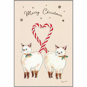 トコロコムギ ポストカード（クリスマスキャンディにゃんこ）の画像