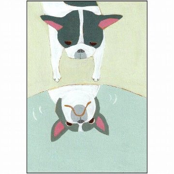 ひらいみも ポストカード（わんわん：水たまり）の画像