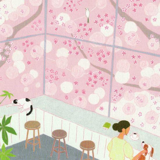 ひらいみも ポストカード（満開の桜）の画像