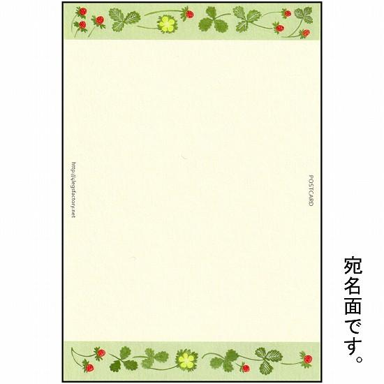 絵本の中のねこ ポストカード（子猫・野苺）の画像