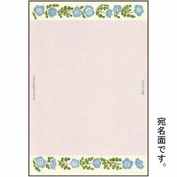 絵本の中のねこ ポストカード（クリーム色の猫・ネモフィラ）の画像