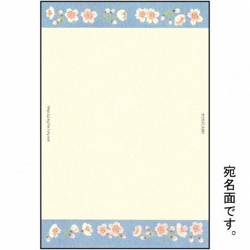 絵本の中のねこ ポストカード（アメショー・桜）の画像