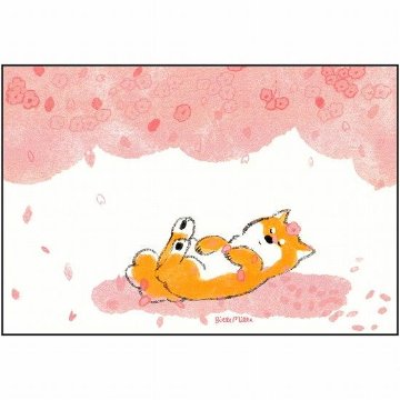 ももろ ポストカード（柴犬と満開の桜）の画像