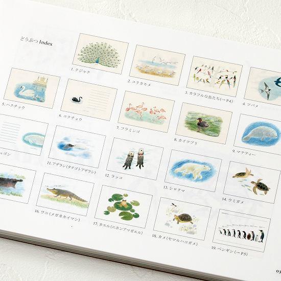 秋草愛のどうぶつ100枚レターブックの画像