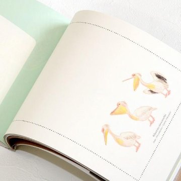 秋草愛のどうぶつ100枚レターブックの画像