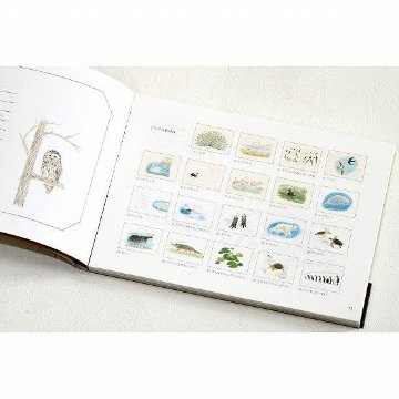 秋草愛のどうぶつ100枚レターブックの画像