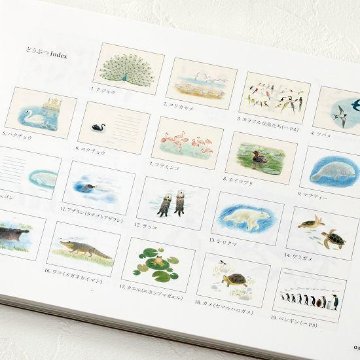 秋草愛のどうぶつ100枚レターブックの画像