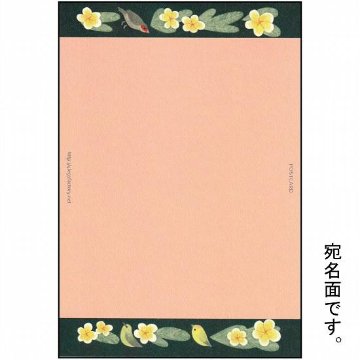 絵本の中のねこ ポストカード（茶白ハワイ）の画像